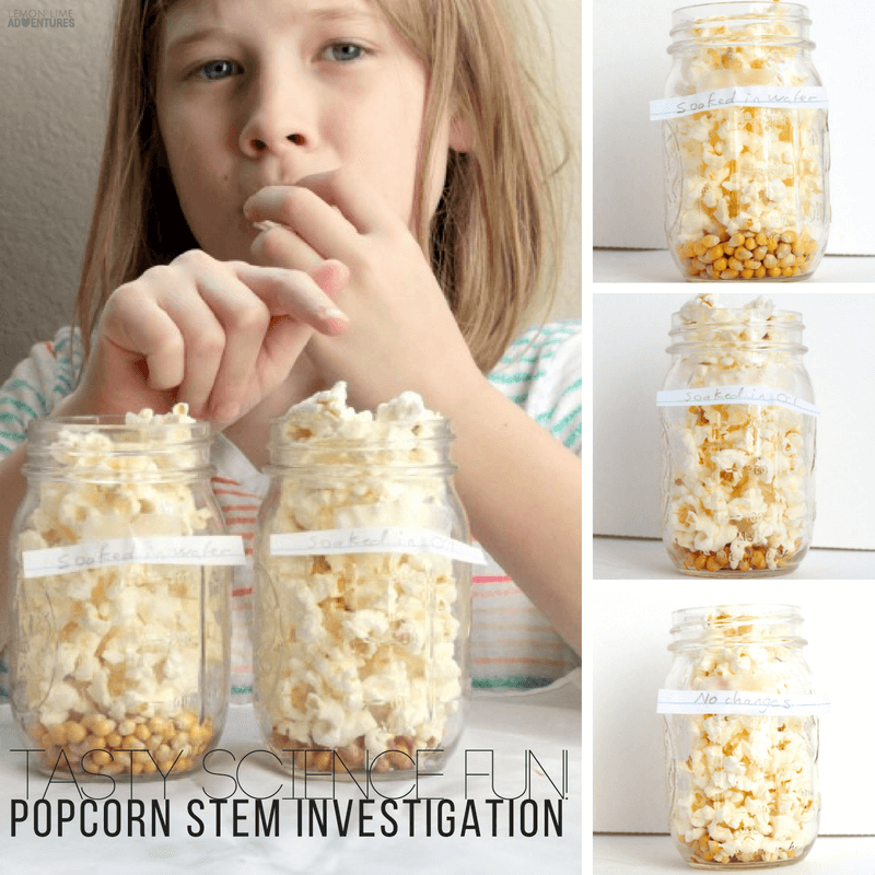 Popcorn Science STEM Investigation: Tasty Science Fun!