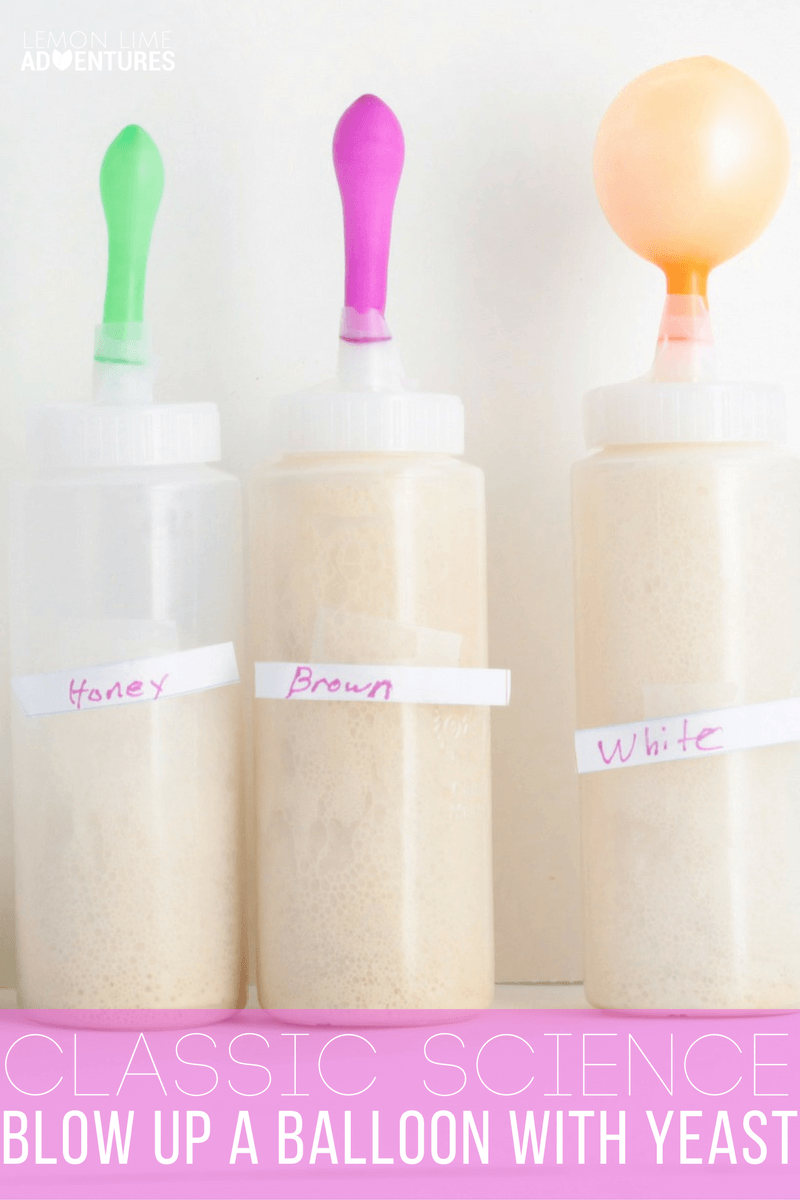 Blow Up a Balloon in this Classic Yeast Science Experiment