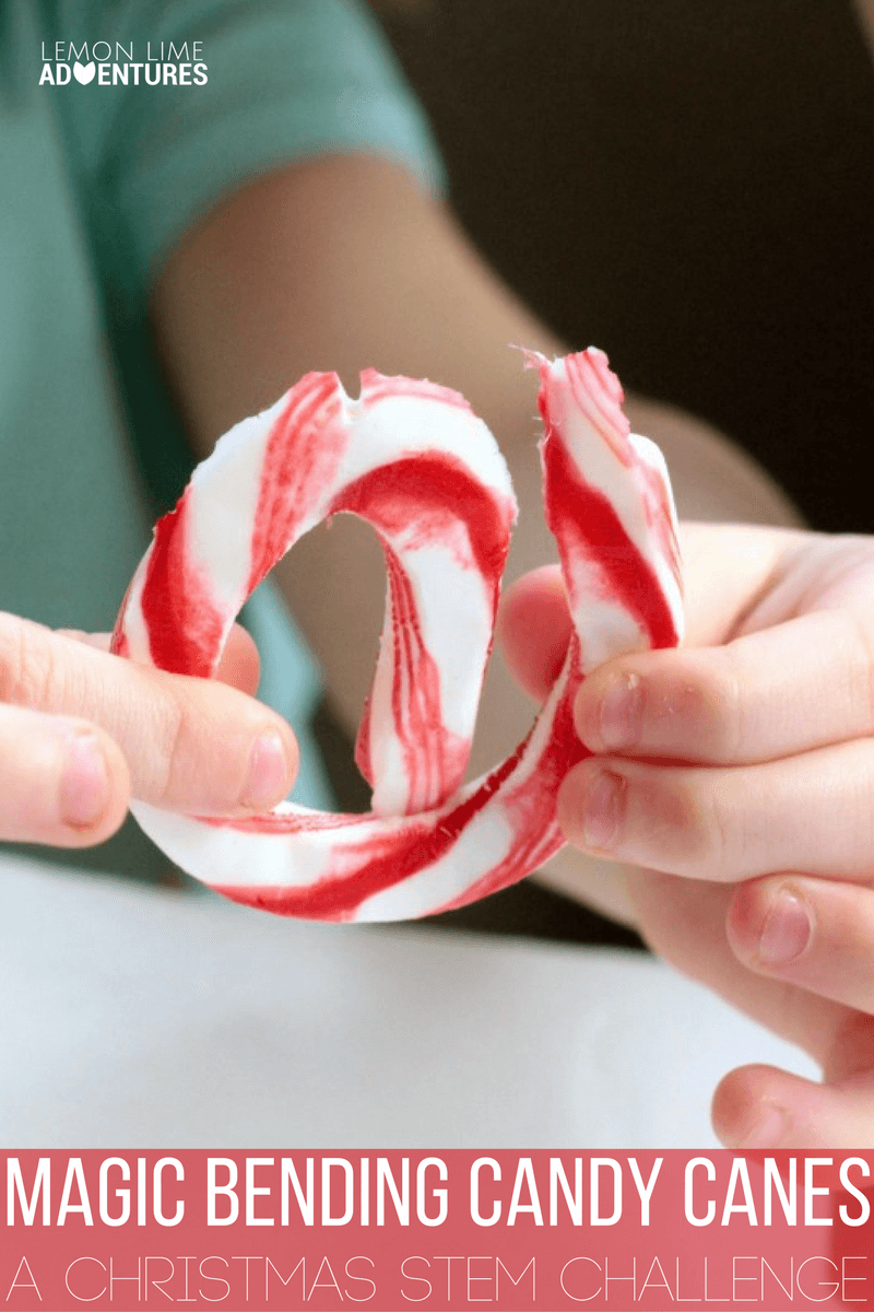 Kids will love this seemingly magic science experiment where bending candy canes can really happen! What a fun way to use old candy canes!