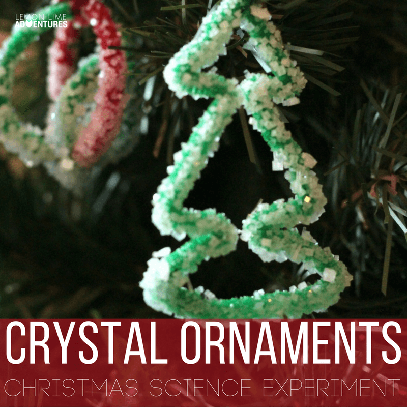 Combine Christmas with learning in this fun salt crystal ornaments science experiment that you can hang on your Christmas tree!