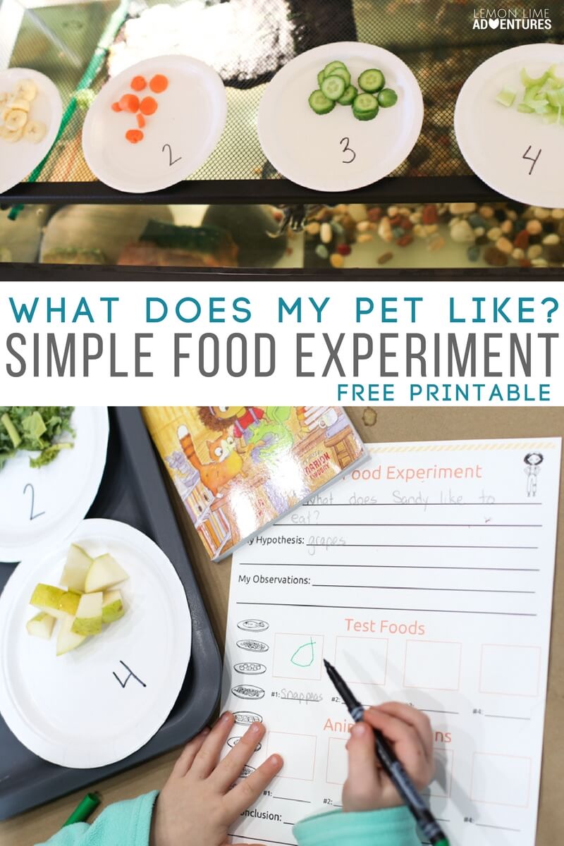 SimpleScience Experiment for Kids with Pets (Perfect for Science Fair)