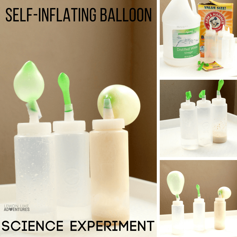 What chemical reaction blows up a balloon the most? This self-inflating balloon science experiment will help you answer that question.