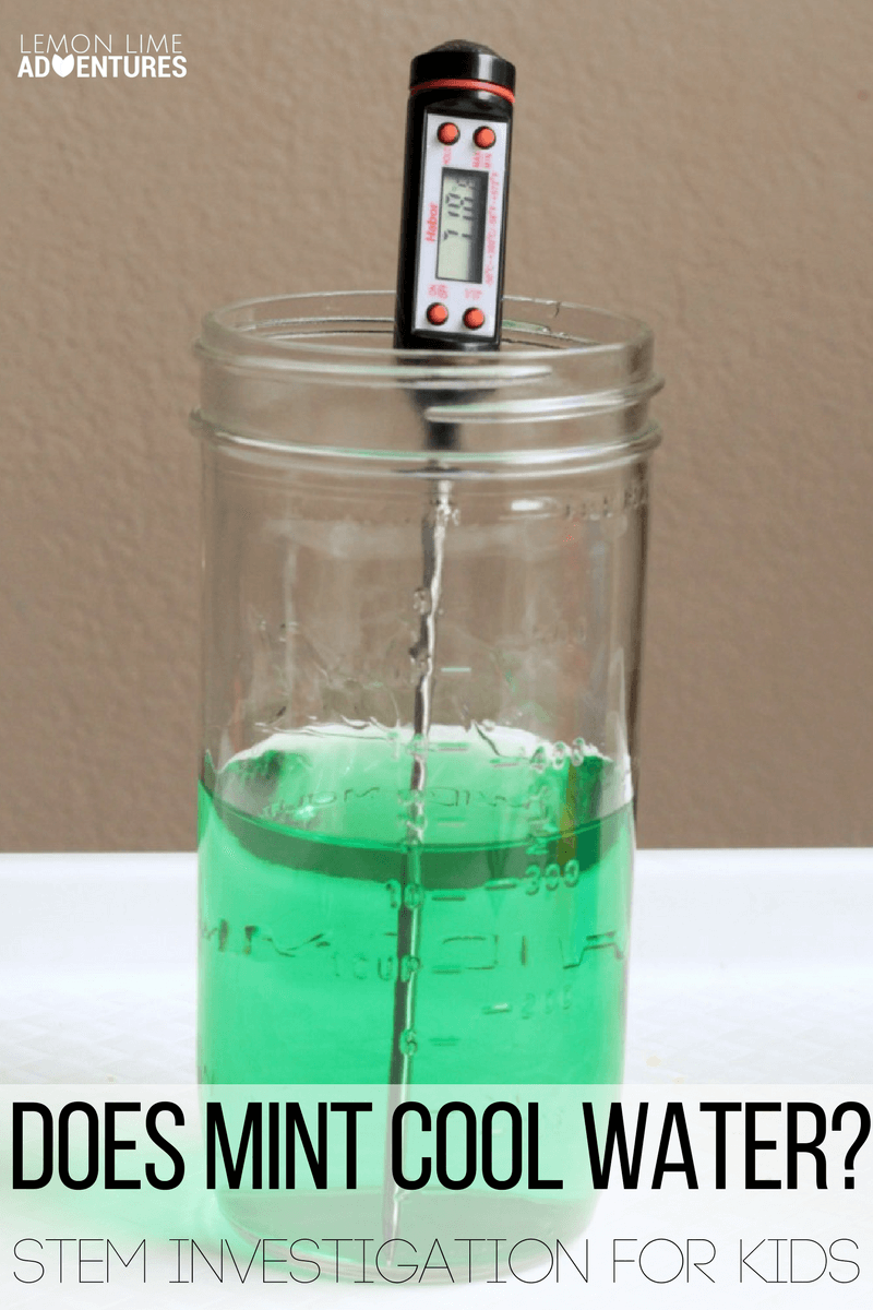 Ever wonder is mint actually cool? Find out in this fun hands-on STEM activity for kids that teaches the basics of scientific inquiry in a fun way!