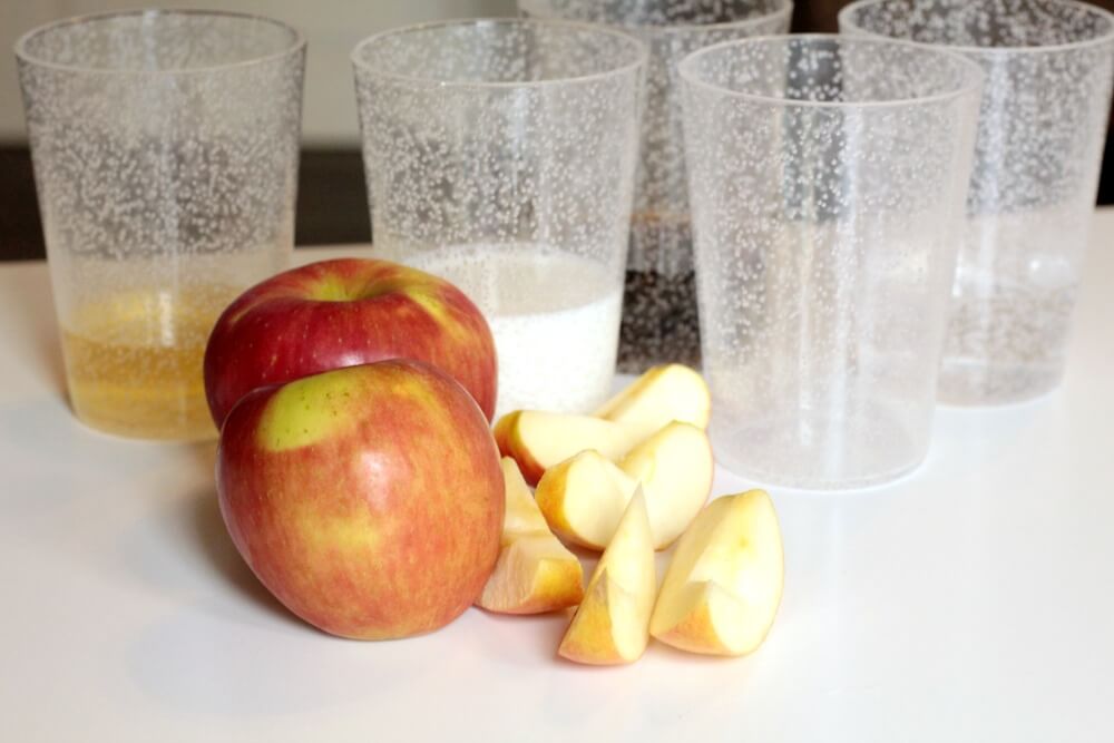 Fall STEM Activity: Preventing Apples from Oxidizing