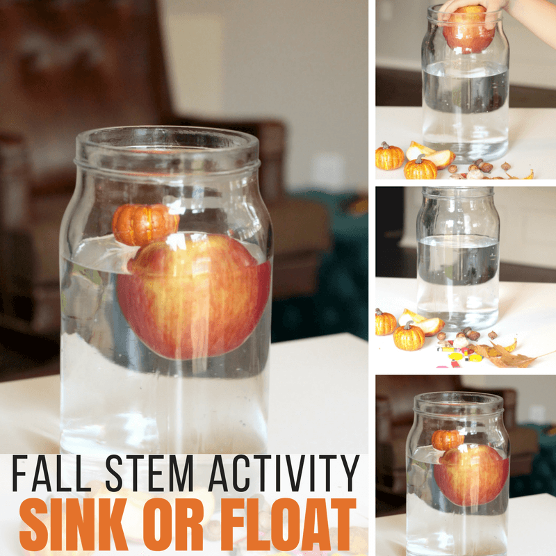 Fall-themed sink or float science experiment, the perfect Fall science activity!