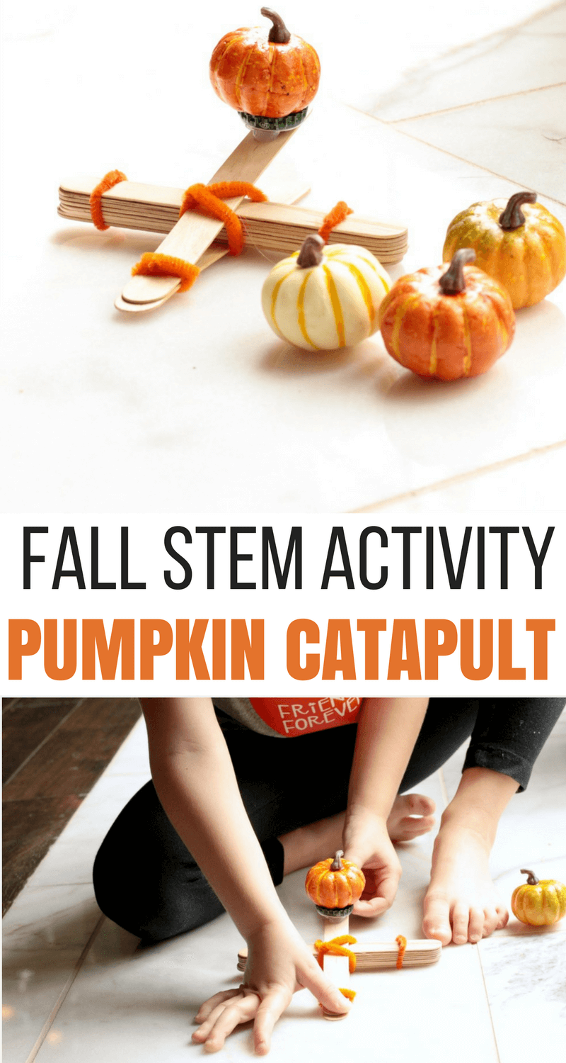 Pumpkin Catapult Fall STEM Activity