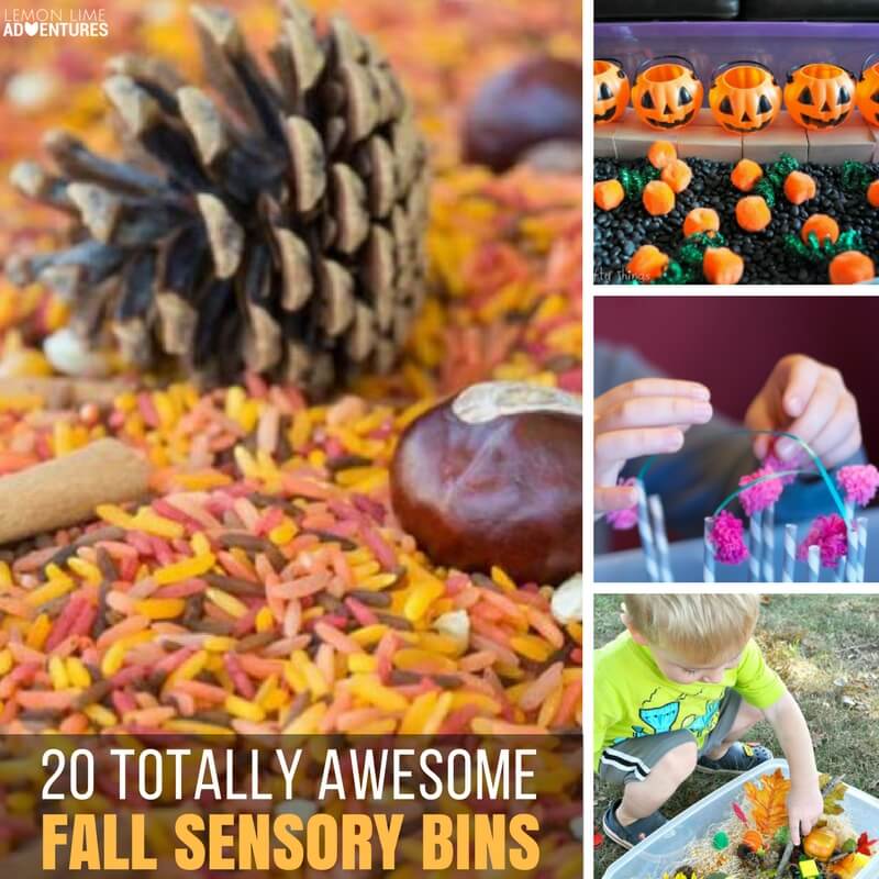 20 Totally Awesome Fall-Themed Sensory Bins for Kids!
