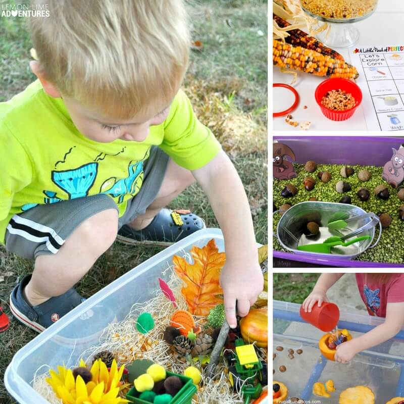 Totally Awesome Fall-Themed Sensory Bins for Kids!