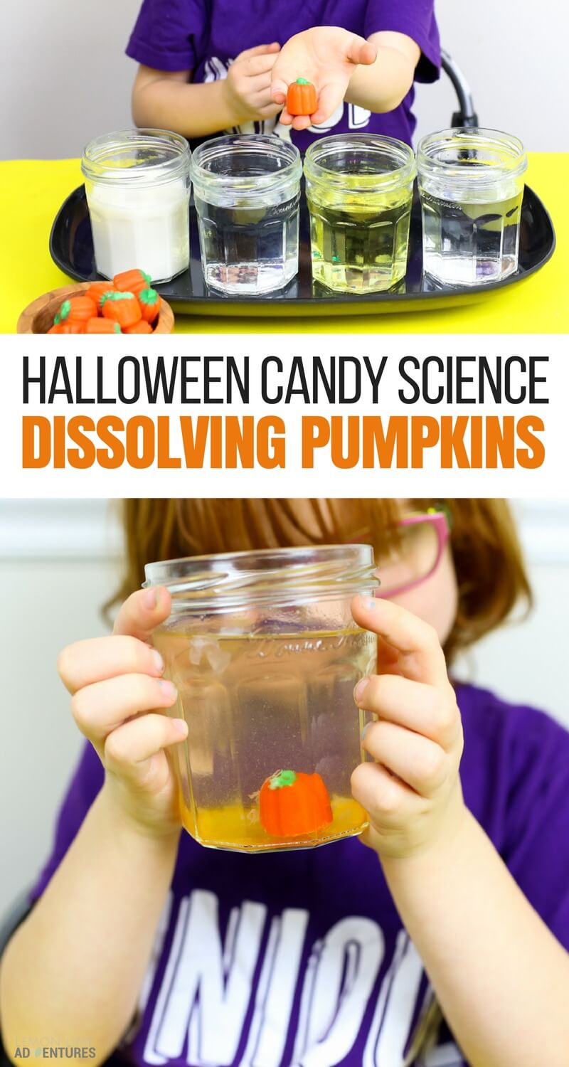 Dissolving Candy Pumpkins | Super Fun Halloween Science for Kids