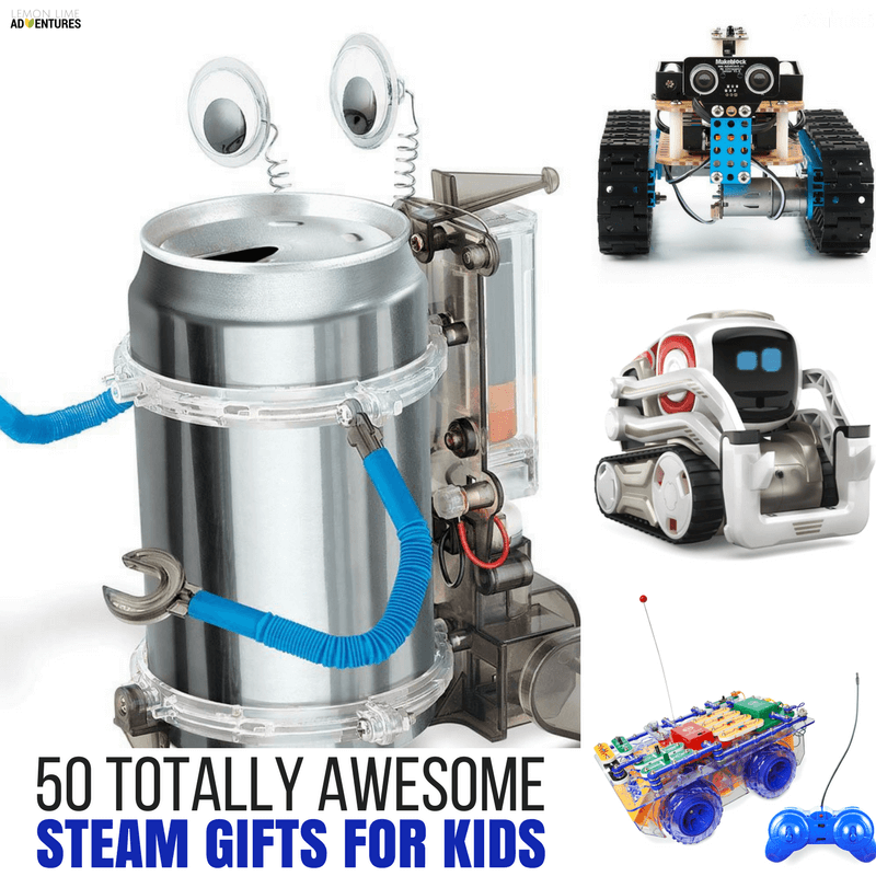 50 Totally Awesome STEAM Gifts for Science-Loving Kids