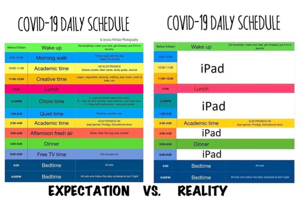 Covid 19 Homeschool schedule Alternatives